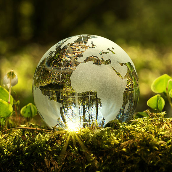 corporate social responsibility. Glass globe in woodland moss and plants