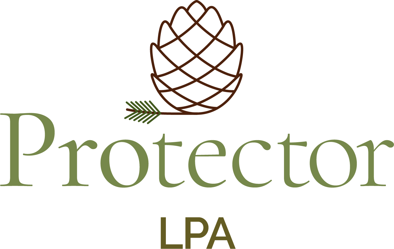 Protector LPA website