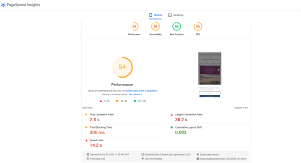 Screen grab of results from running Google page speed insights